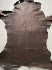 画像1: クードゥー　ヌメ革　チョコ　KUDU　クーズー (1)