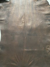 画像8: クードゥー　ヌメ革　チョコ　KUDU　クーズー (8)
