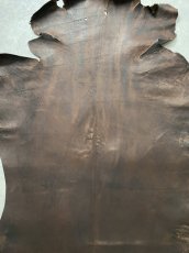 画像3: クードゥー　ヌメ革　チョコ　KUDU　クーズー (3)