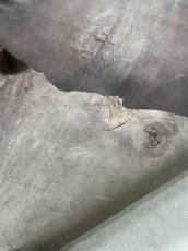 画像11: クードゥー　ヌメ革　チョコ　KUDU　クーズー (11)