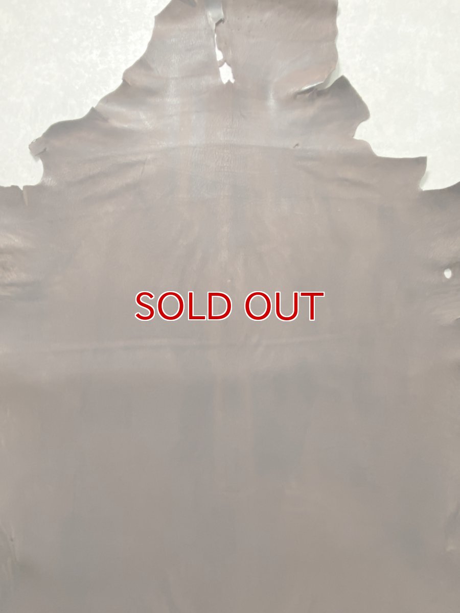 画像3: クードゥー　ヌメ革　チョコ　KUDU　クーズー (3)