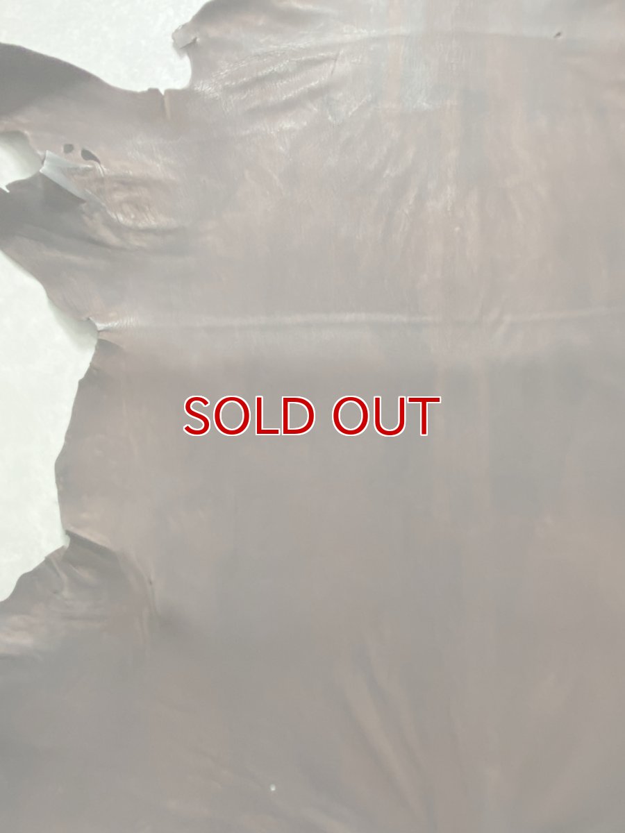 画像2: クードゥー　ヌメ革　チョコ　KUDU　クーズー (2)