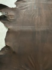 画像2: クードゥー　ヌメ革　チョコ　KUDU　クーズー (2)