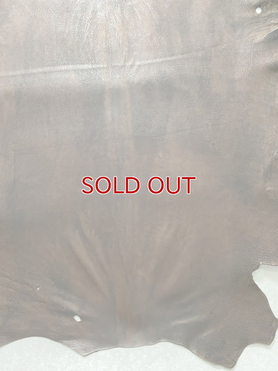 画像6: クードゥー　ヌメ革　チョコ　KUDU　クーズー (6)