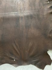 画像6: クードゥー　ヌメ革　チョコ　KUDU　クーズー (6)