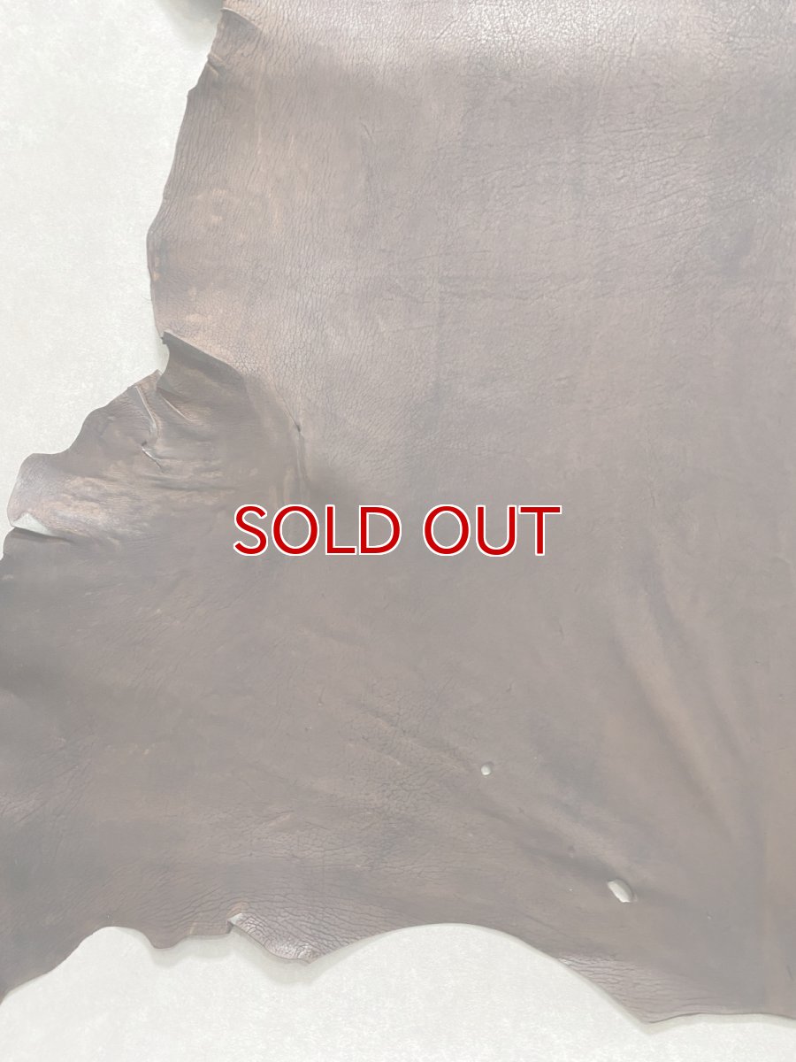 画像5: クードゥー　ヌメ革　チョコ　KUDU　クーズー (5)