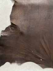 画像5: クードゥー　ヌメ革　チョコ　KUDU　クーズー (5)
