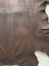 画像7: クードゥー　ヌメ革　チョコ　KUDU　クーズー (7)