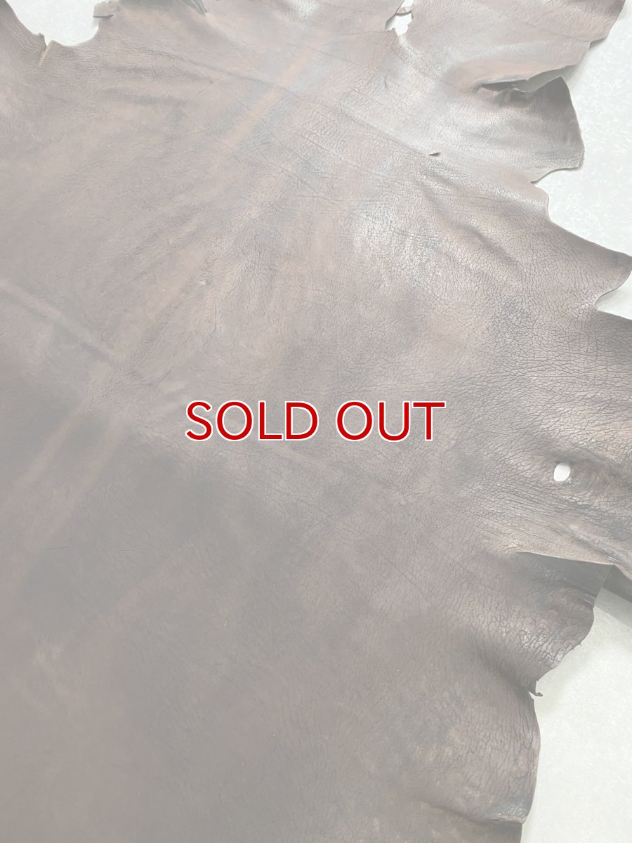 画像10: クードゥー　ヌメ革　チョコ　KUDU　クーズー (10)