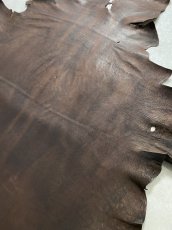画像10: クードゥー　ヌメ革　チョコ　KUDU　クーズー (10)