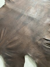 画像8: クードゥー　ヌメ革　チョコ　KUDU　クーズー (8)