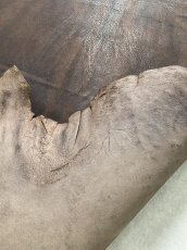 画像11: クードゥー　ヌメ革　チョコ　KUDU　クーズー (11)