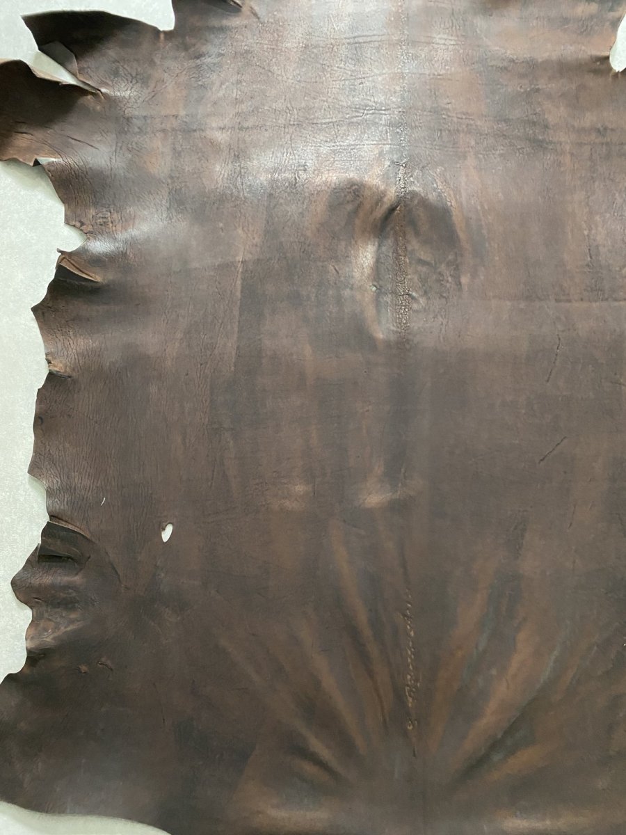 画像2: クードゥー　ヌメ革　チョコ　KUDU　クーズー (2)