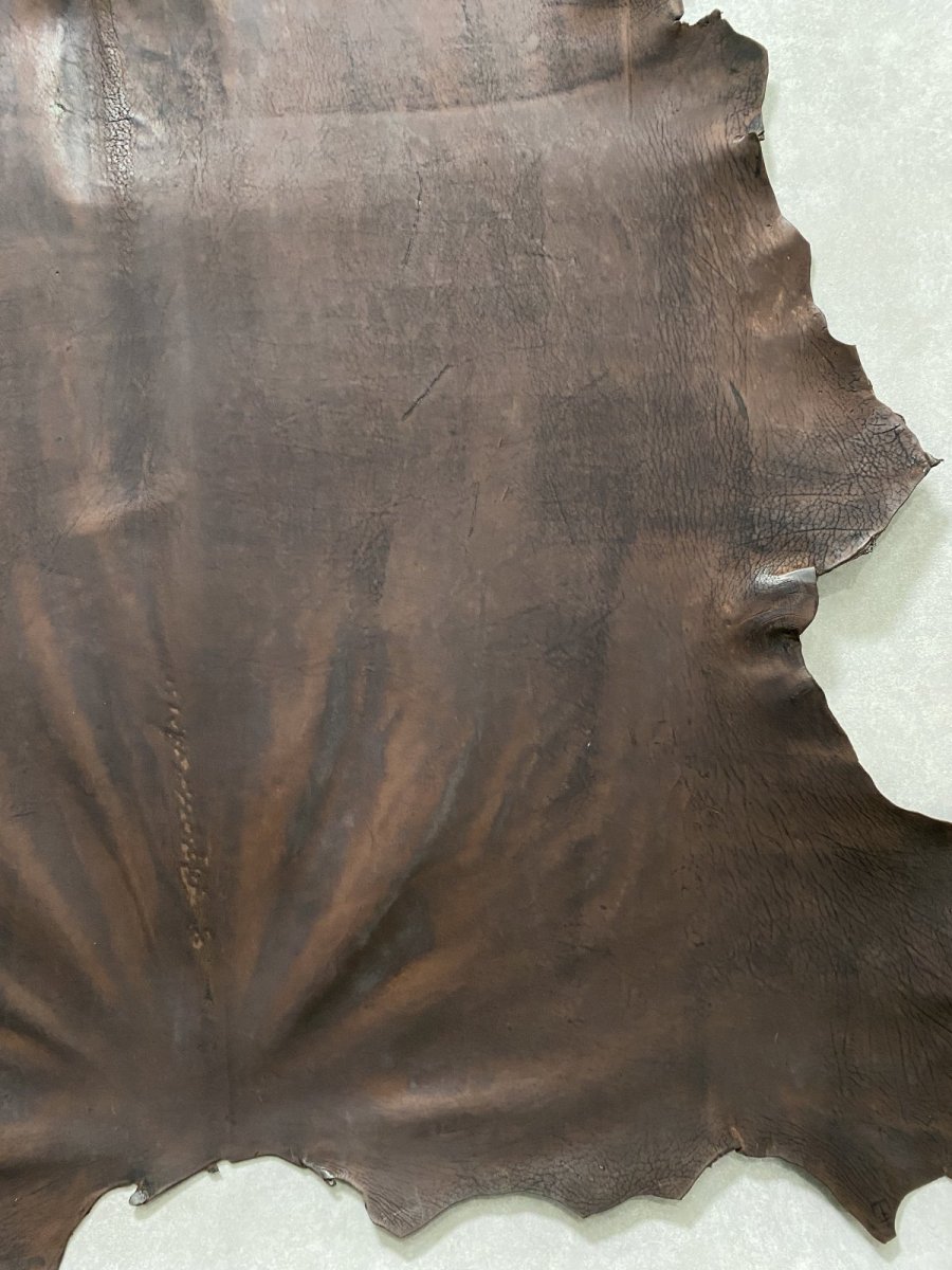 画像8: クードゥー　ヌメ革　チョコ　KUDU　クーズー (8)