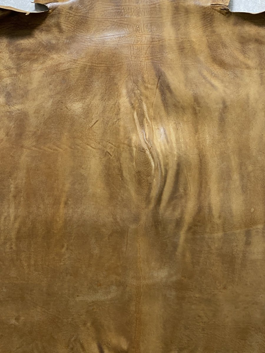 画像10: クードゥー　ヌメ革　キャメル　KUDU　クーズー (10)