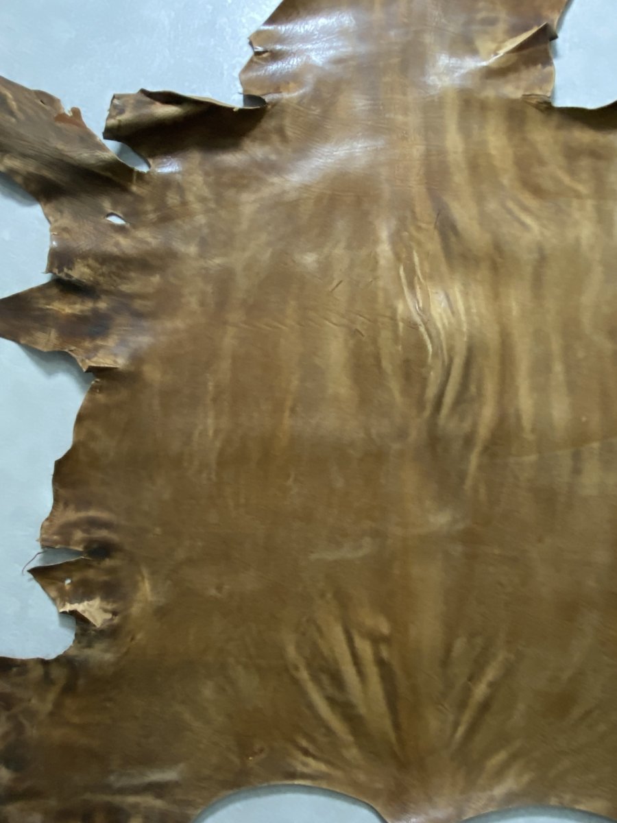 画像2: クードゥー　ヌメ革　キャメル　KUDU　クーズー (2)