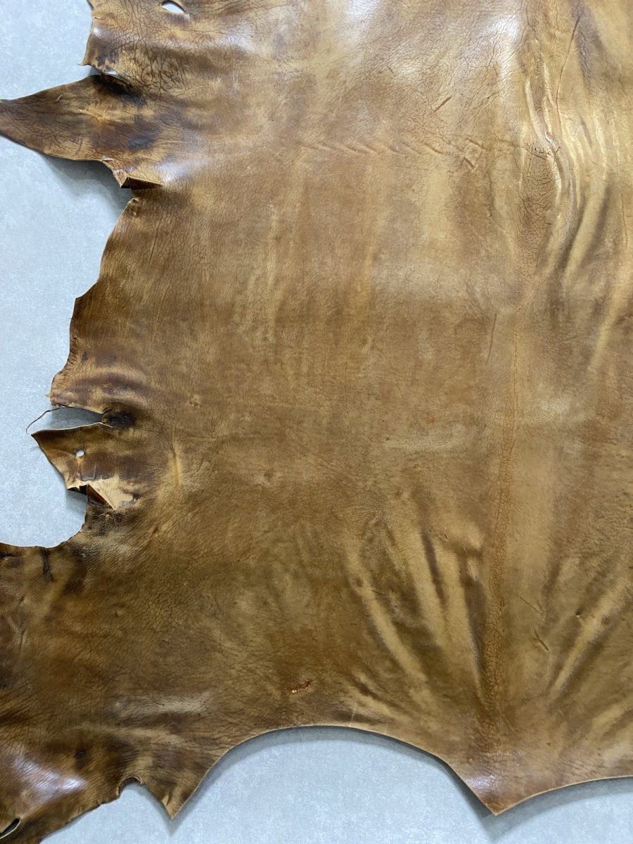 画像5: クードゥー　ヌメ革　キャメル　KUDU　クーズー (5)