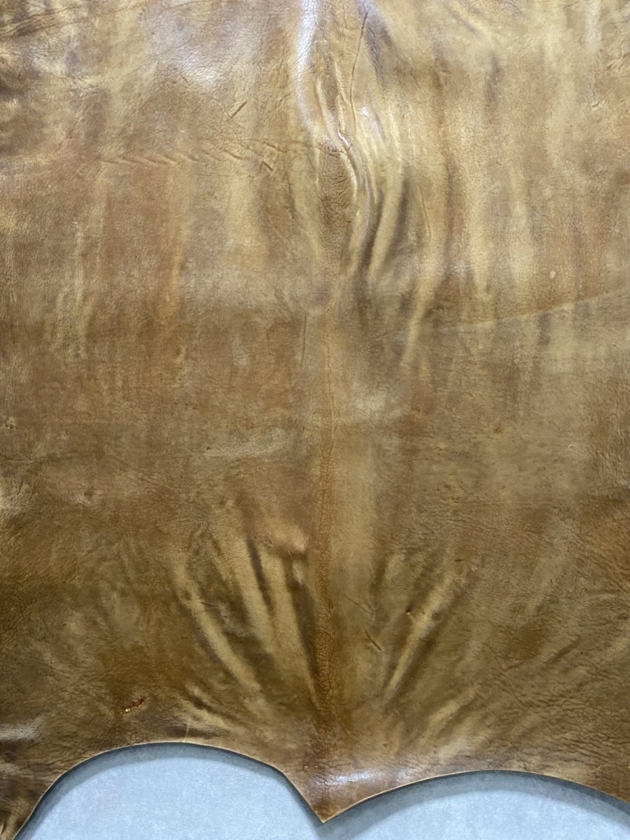 画像6: クードゥー　ヌメ革　キャメル　KUDU　クーズー (6)