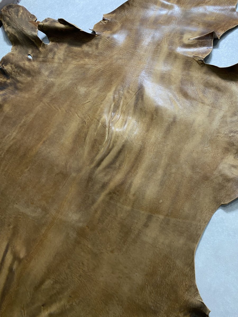 画像8: クードゥー　ヌメ革　キャメル　KUDU　クーズー (8)