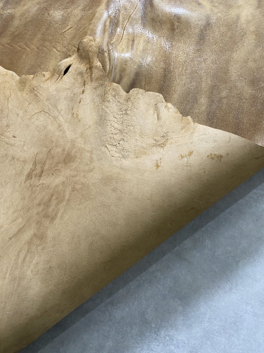 画像11: クードゥー　ヌメ革　キャメル　KUDU　クーズー (11)