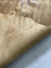 画像11: クードゥー　ヌメ革　キャメル　KUDU　クーズー (11)