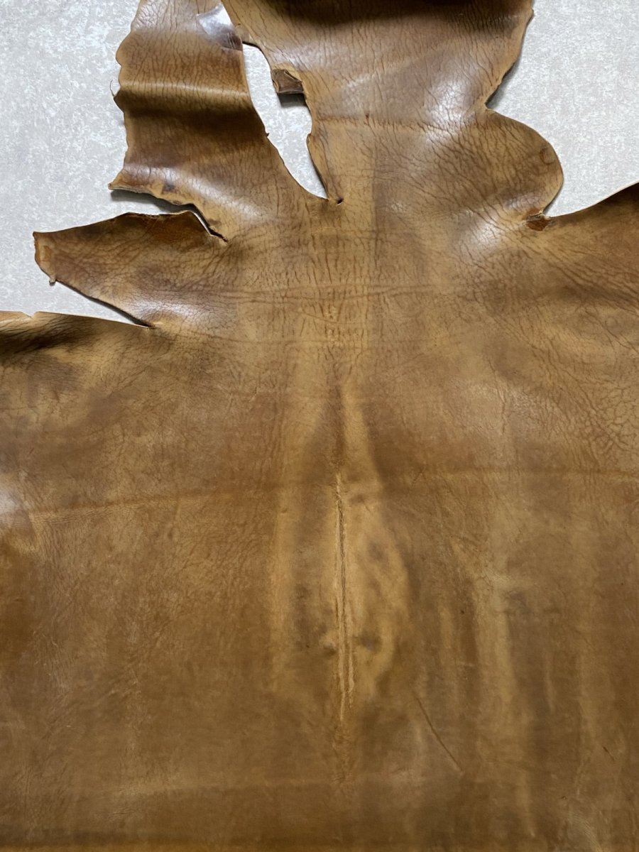画像3: クードゥー　ヌメ革　キャメル　KUDU　クーズー (3)