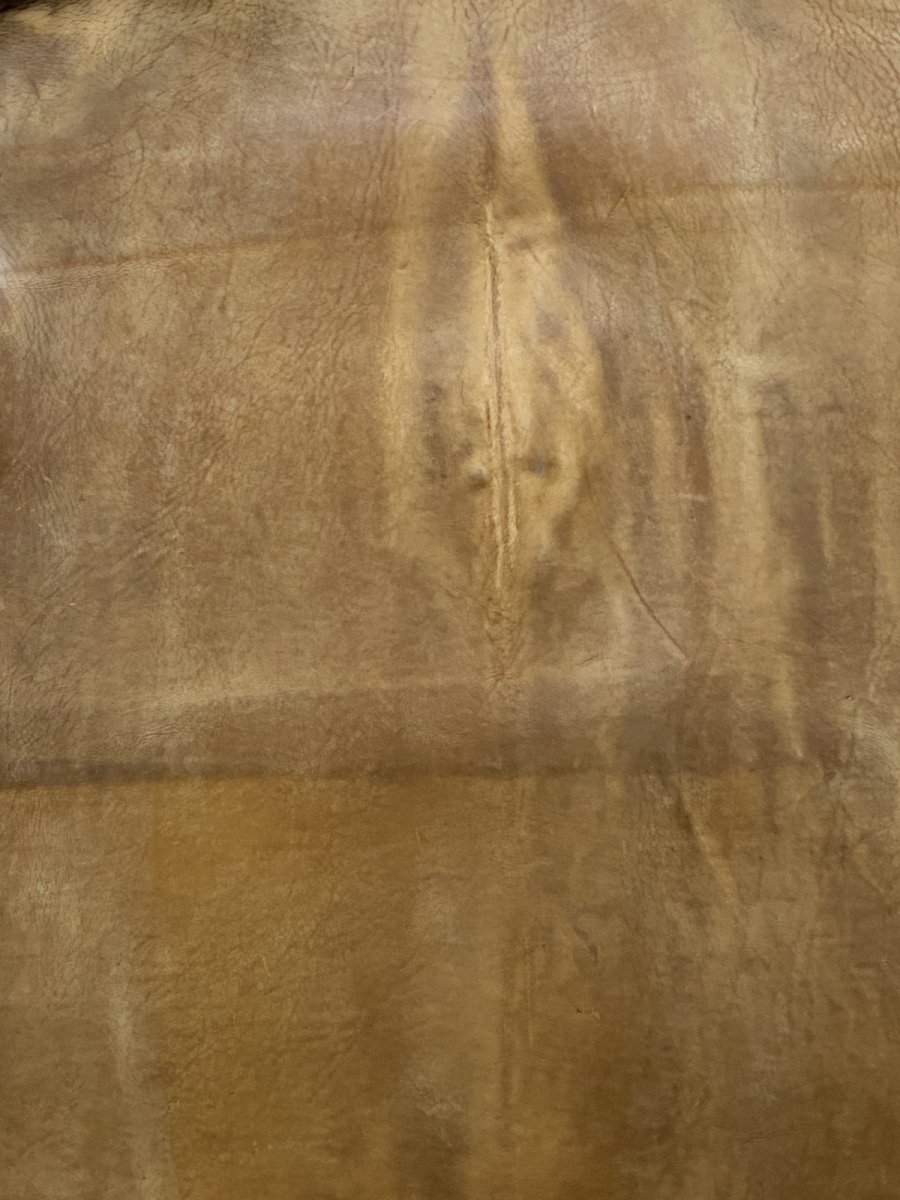 画像10: クードゥー　ヌメ革　キャメル　KUDU　クーズー (10)