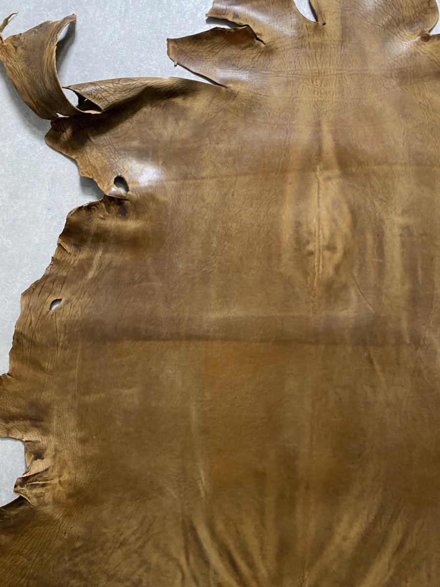 画像2: クードゥー　ヌメ革　キャメル　KUDU　クーズー (2)