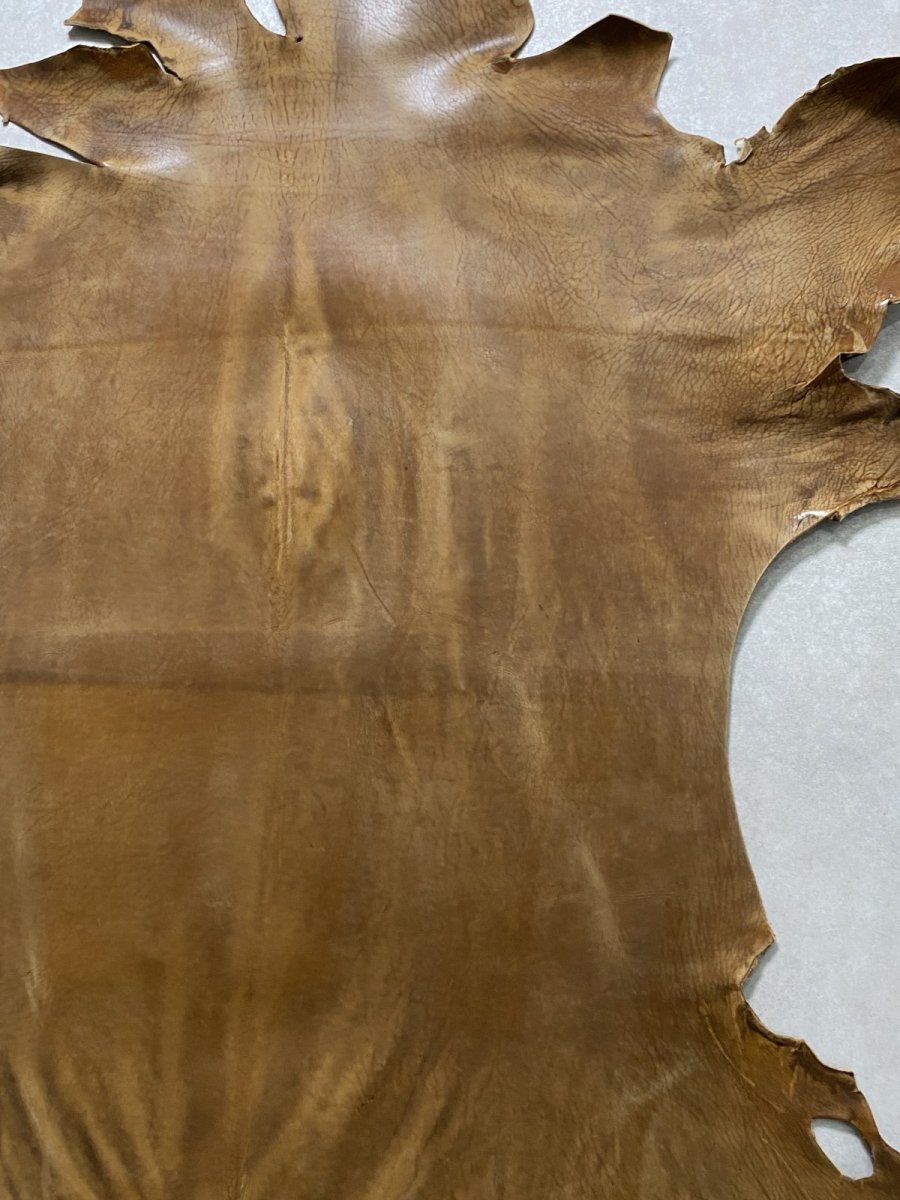 画像4: クードゥー　ヌメ革　キャメル　KUDU　クーズー (4)