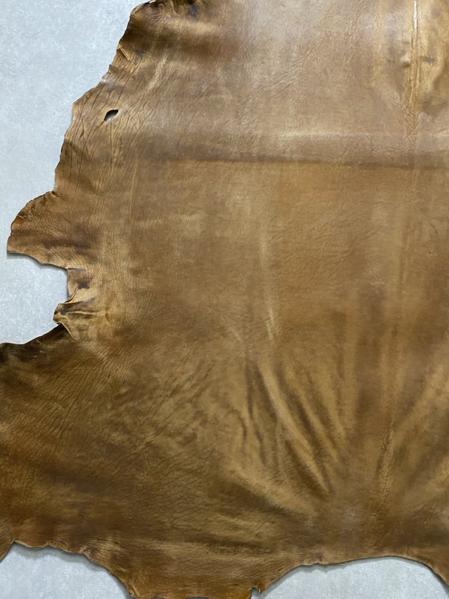 画像5: クードゥー　ヌメ革　キャメル　KUDU　クーズー (5)