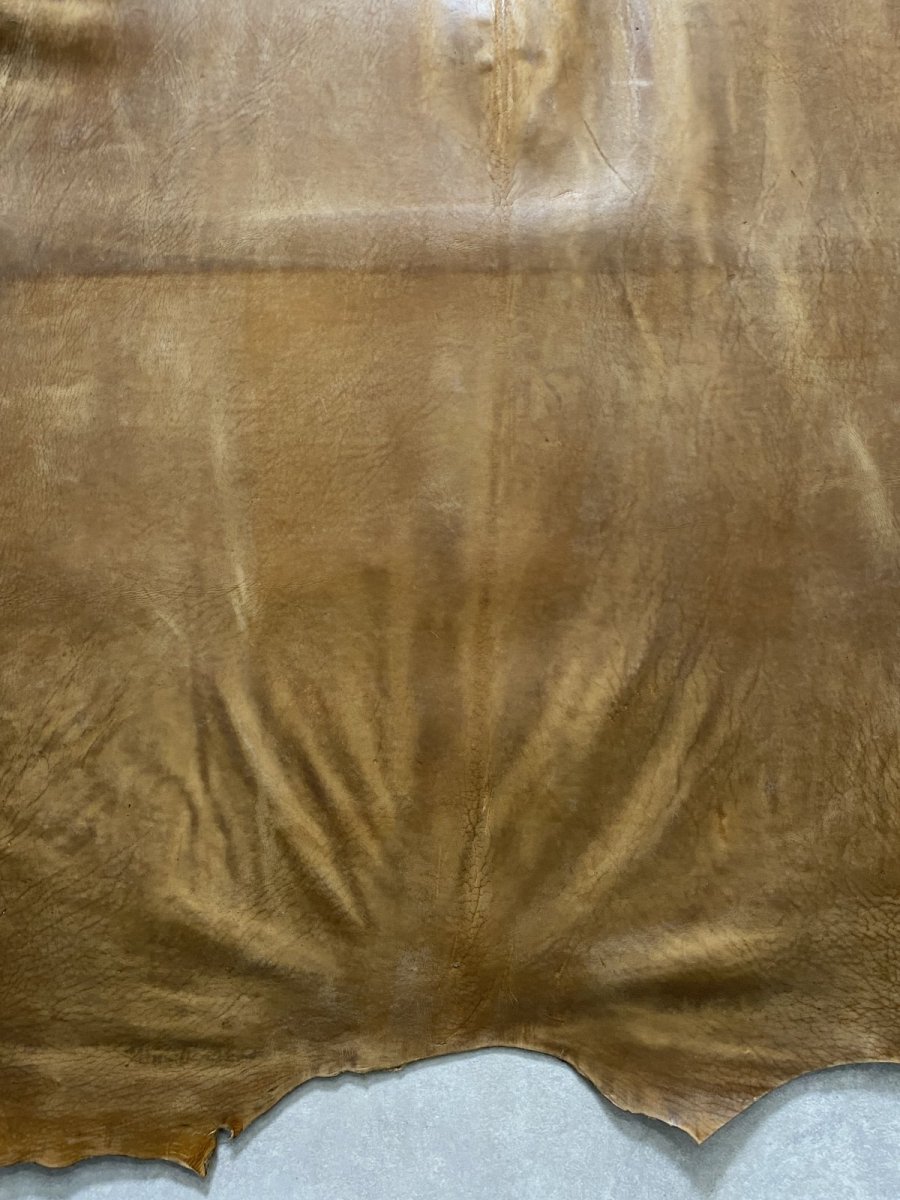 画像6: クードゥー　ヌメ革　キャメル　KUDU　クーズー (6)