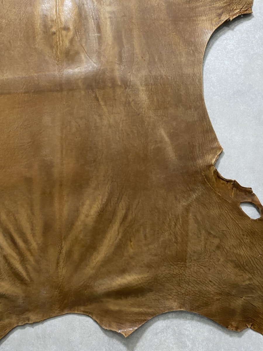 画像7: クードゥー　ヌメ革　キャメル　KUDU　クーズー (7)