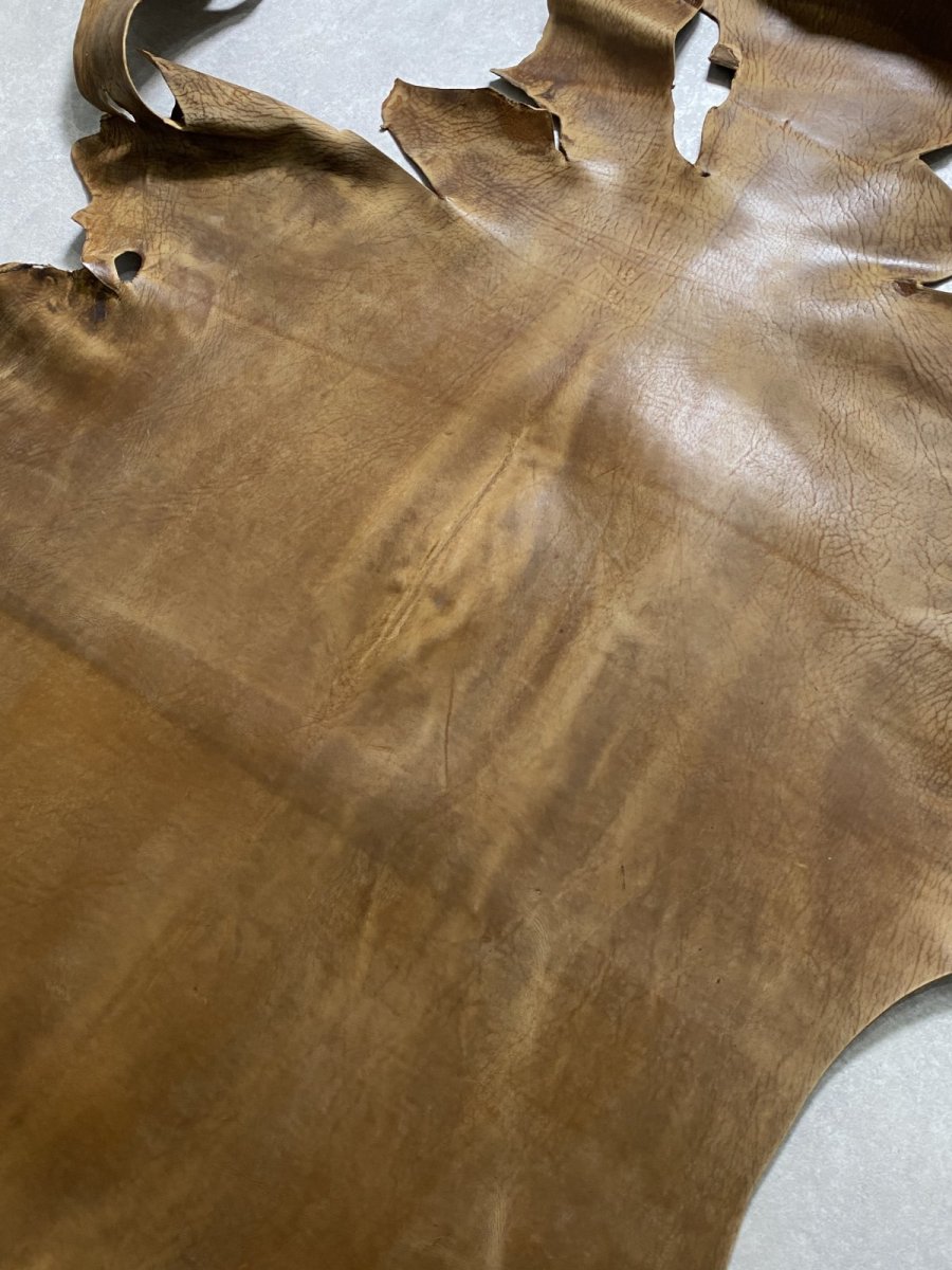 画像9: クードゥー　ヌメ革　キャメル　KUDU　クーズー (9)