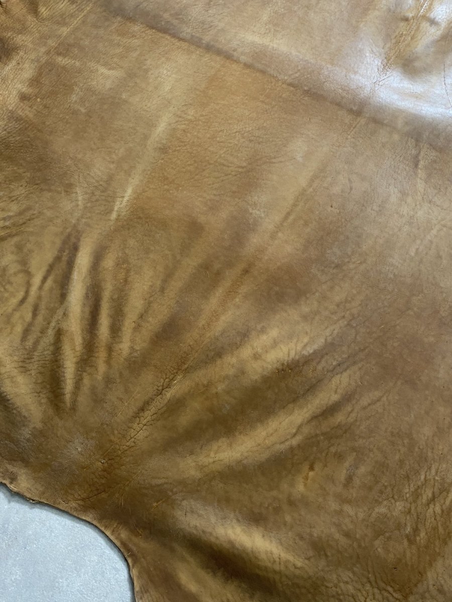 画像8: クードゥー　ヌメ革　キャメル　KUDU　クーズー (8)