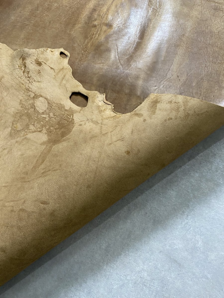 画像11: クードゥー　ヌメ革　キャメル　KUDU　クーズー (11)