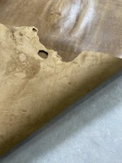 画像11: クードゥー　ヌメ革　キャメル　KUDU　クーズー (11)