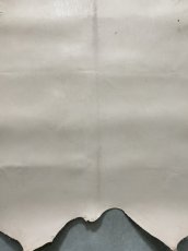 画像6: クードゥー　ヌメ革　ナチュラル　KUDU　クーズー (6)