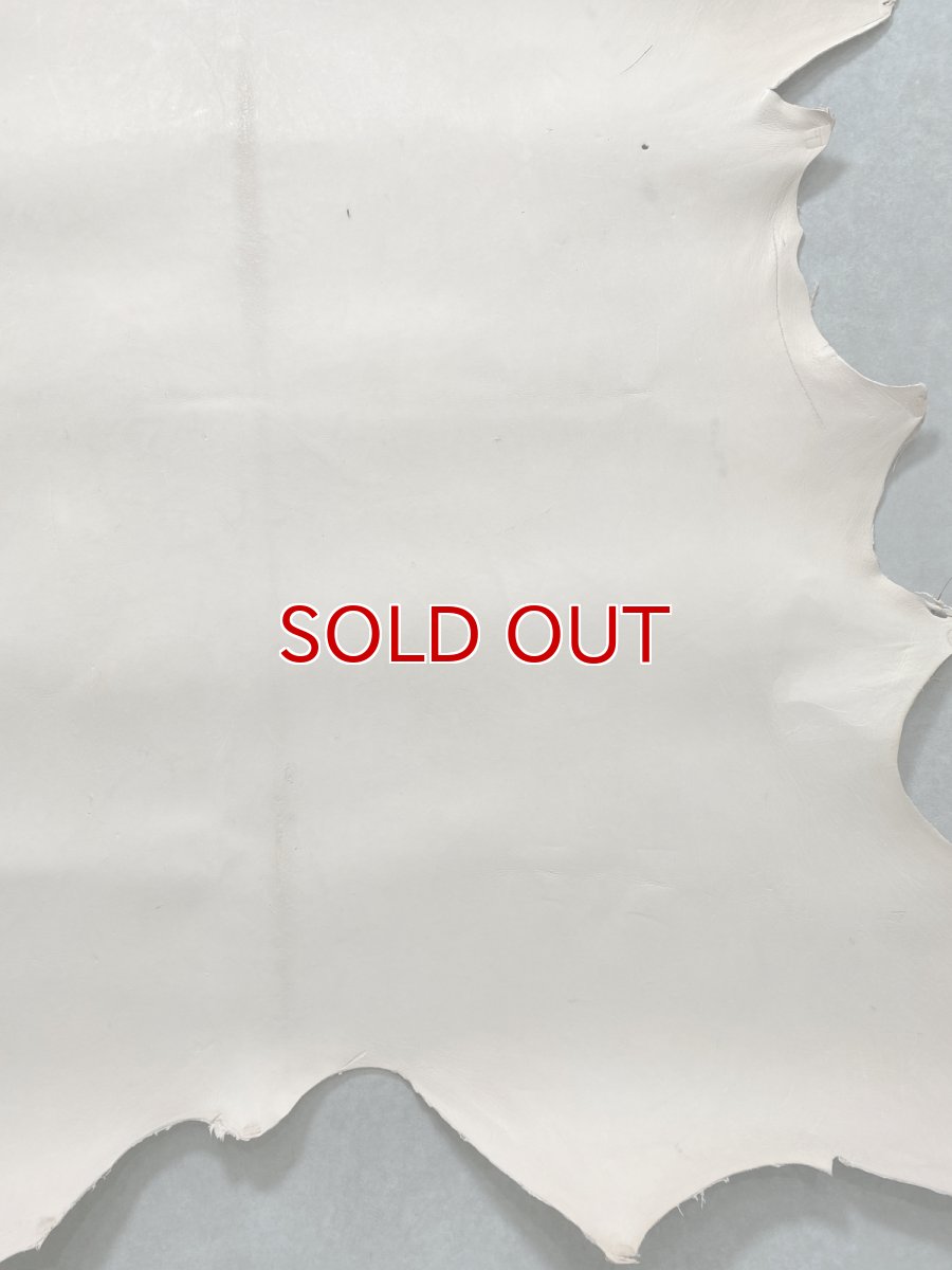 画像8: クードゥー　ヌメ革　ナチュラル　KUDU　クーズー (8)