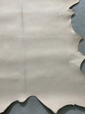 画像8: クードゥー　ヌメ革　ナチュラル　KUDU　クーズー (8)