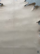 画像4: クードゥー　ヌメ革　ナチュラル　KUDU　クーズー (4)
