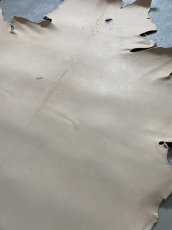 画像8: クードゥー　ヌメ革　ナチュラル　KUDU　クーズー (8)