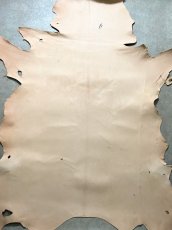 画像1: クードゥー　ヌメ革　ナチュラル　KUDU　クーズー (1)