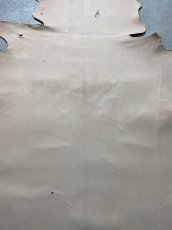 画像3: クードゥー　ヌメ革　ナチュラル　KUDU　クーズー (3)