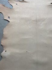 画像2: クードゥー　ヌメ革　ナチュラル　KUDU　クーズー (2)