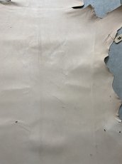 画像4: クードゥー　ヌメ革　ナチュラル　KUDU　クーズー (4)