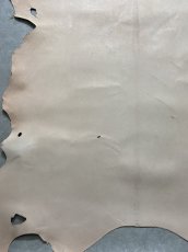 画像5: クードゥー　ヌメ革　ナチュラル　KUDU　クーズー (5)