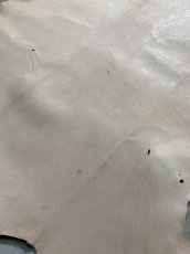 画像10: クードゥー　ヌメ革　ナチュラル　KUDU　クーズー (10)
