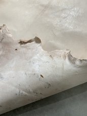 画像12: クードゥー　ヌメ革　ナチュラル　KUDU　クーズー (12)