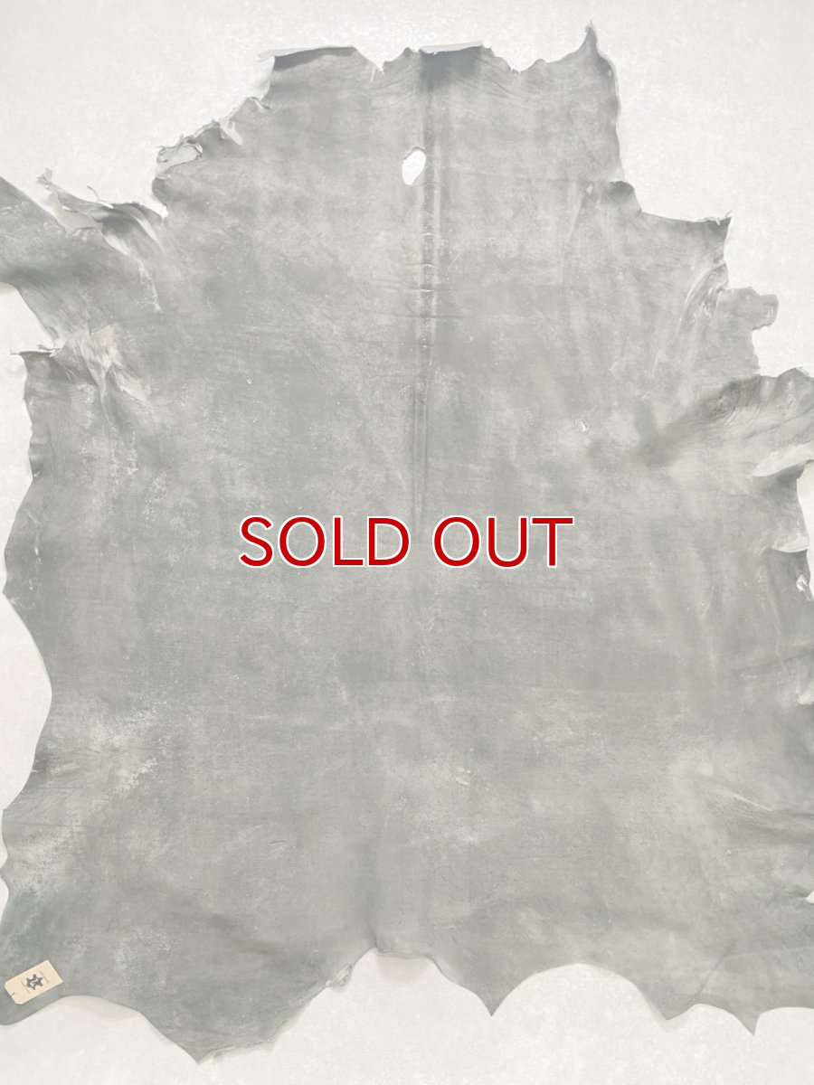 画像1: クードゥー　グレー　クーズー　KUDU (1)