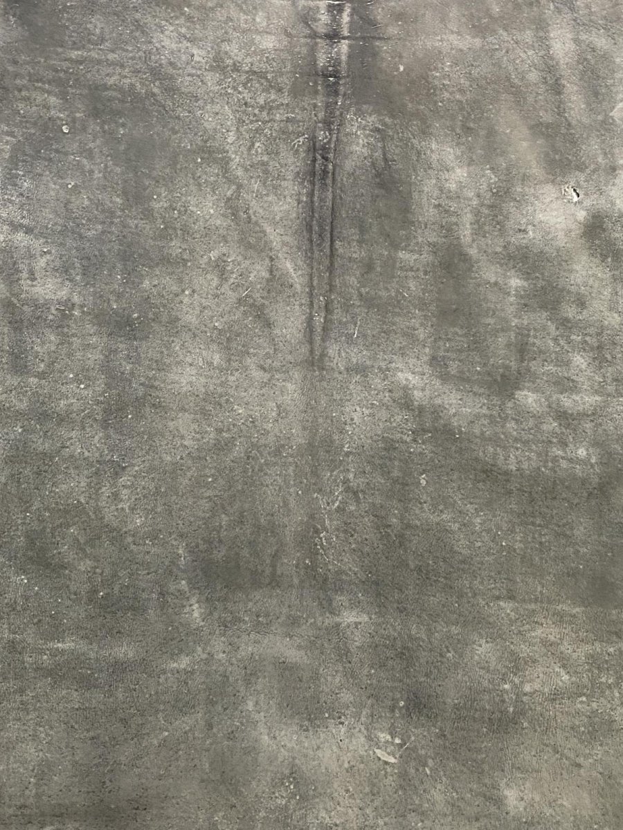 画像2: クードゥー　グレー　クーズー　KUDU (2)